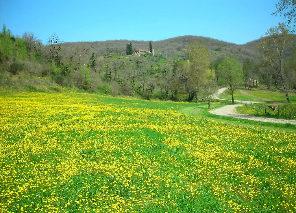 팜스테이 Allegro Agriturismo Argiano 아레초