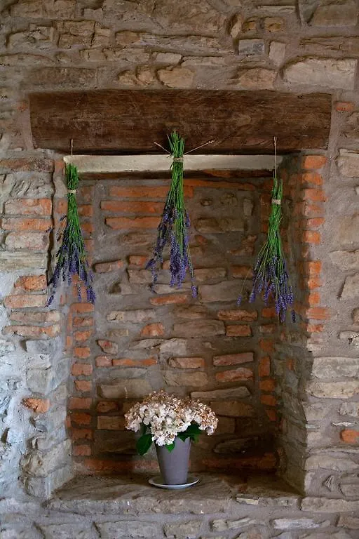 Allegro Agriturismo Argiano 아레초 팜스테이